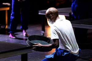 dokumentacja spektaklu "Manifest Roślin"