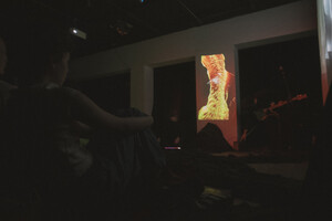 dokumentacja Rezydencji Migrart, część 2