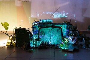 Dokumentacja  "Będzie coraz cieplej" dzień 5  fot. Agata Kubis